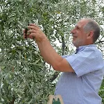 Scandia アパート *