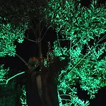 Scandia アパート *