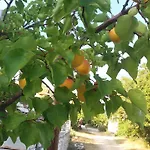 Scandia アパート ポトス