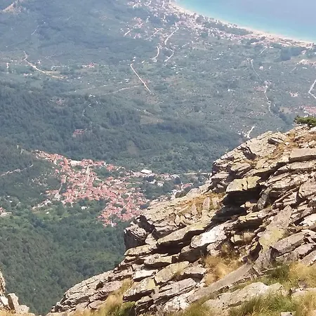 Scandia * Ποτός