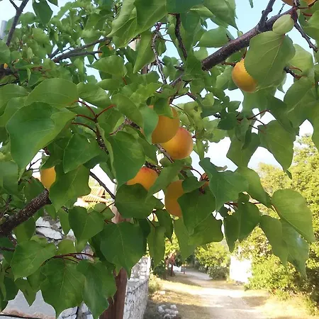 Scandia Διαμέρισμα Ποτός