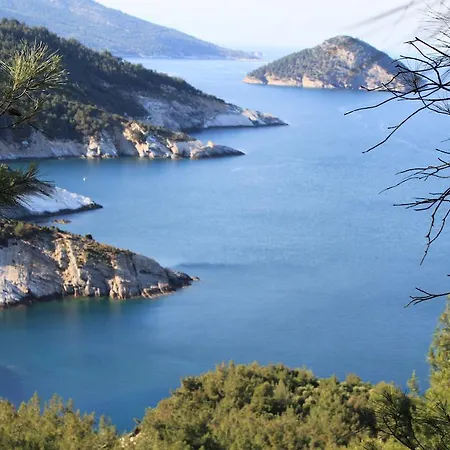 公寓 Scandia 波托什