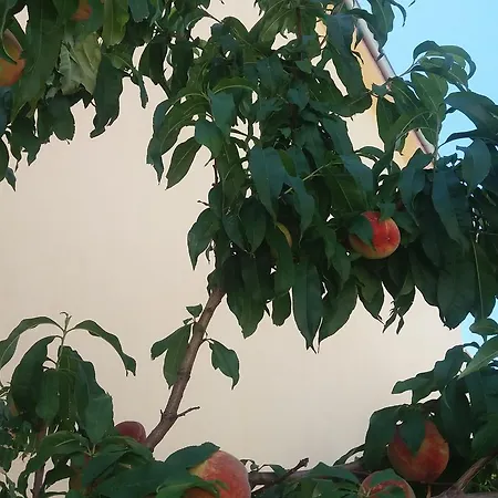 Apartament Scandia Potos