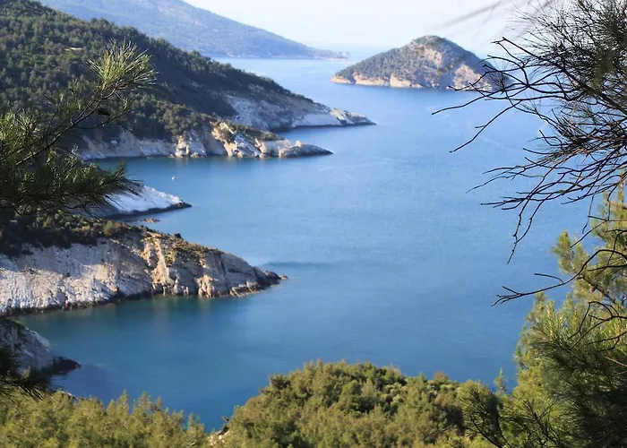 アパート Scandia ポトス