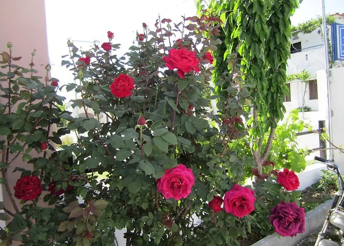 アパート Scandia