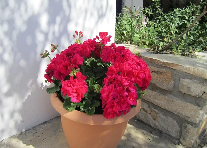 アパート Scandia *