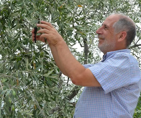 瑟康别墅 公寓 *