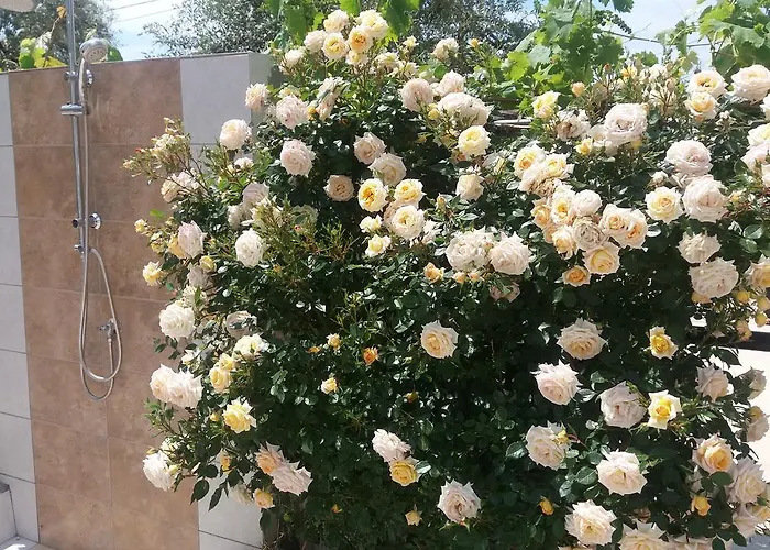 瑟康别墅 波托什