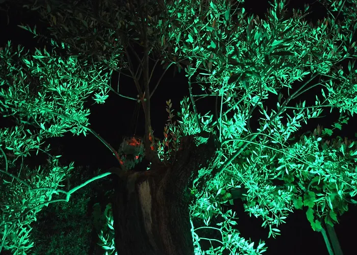 Scandia アパート *