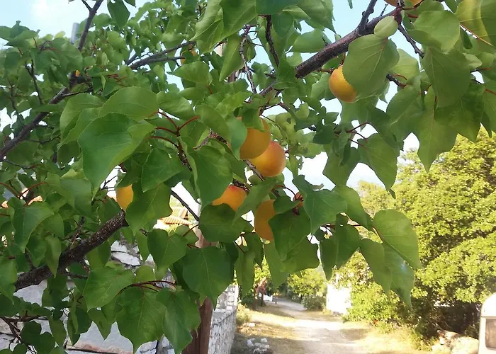 瑟康别墅 公寓 波托什